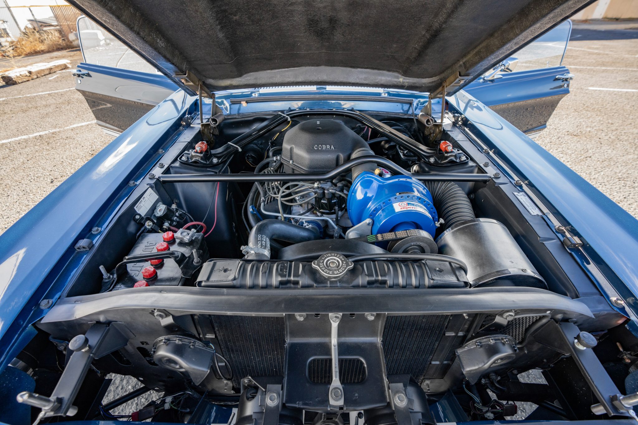 Shelby Mustang GT350